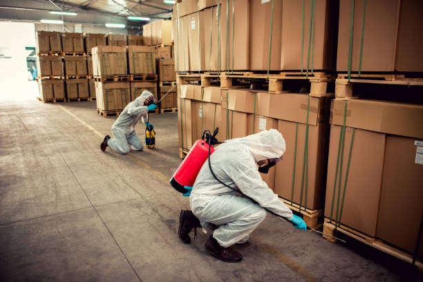 Best Mosquito Control Services  in Medical Lake, WA