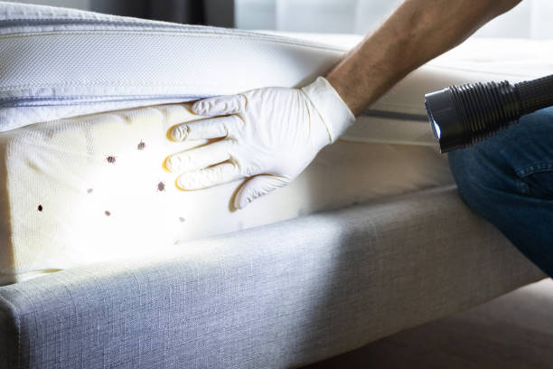Best Affordable Pest Control Services  in Medical Lake, WA